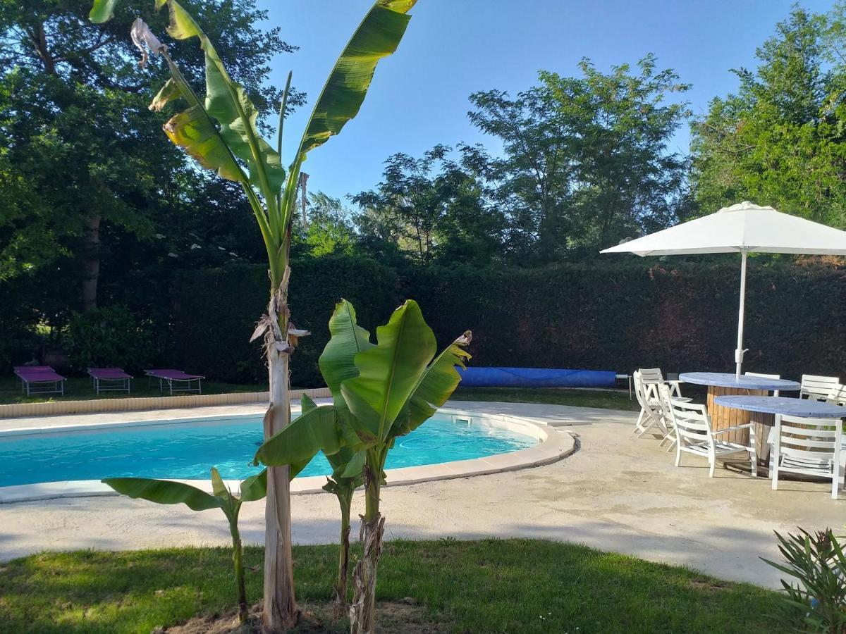 Chez Celine Et Philippe Chambre Marie Dans Propriete De Charme Avec Piscine Le Fossat Экстерьер фото